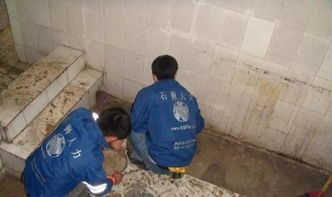 番禺區廠房屋面防水補漏，專業公司是保障生產的明智選擇